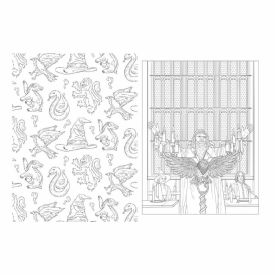 Livro Harry Potter Casas De Hogwarts Ciranda Cultural - Para Colorir