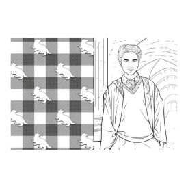 Livro Harry Potter Casas De Hogwarts Lufa-Lufa Ciranda Cultural - Para Colorir