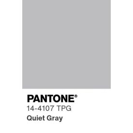 Porta Travesseiro 50X70 cm Elegance Havan Casa 1 Pç - Cinza Ice