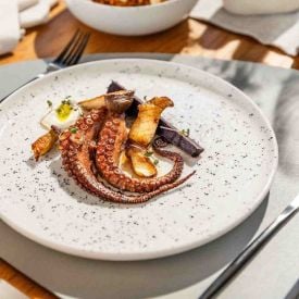 Prato Raso Flat Chuvisco Oxford 26Cm - Havan Casa 