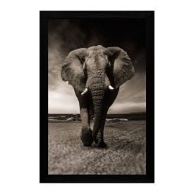 Quadro Retangular Fx Quadros 33Cm - Elefante 