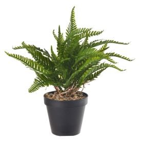 Arranjo Samambaia Florarte 24 Cm