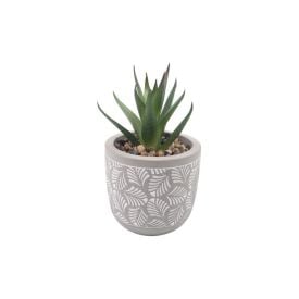 Suculenta Artificial Com Vaso De Cimento Havan Casa 10,5 Cm - Sortido