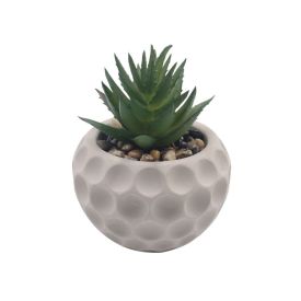 Suculenta Artificial Vaso de Cimento Havan Casa 10,5Cm - Sortido