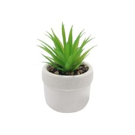 Suculenta Artificial Vaso de Cimento Havan Casa 17,5Cm - Sortido