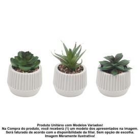 Suculenta com Vaso de Cimento Havan Casa 9Cm - Sortido