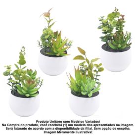 Suculenta Com Vaso Havan Casa 16Cm - Sortido