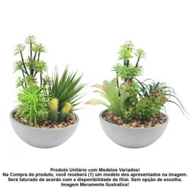 Suculenta Com Vaso Havan Casa 24Cm - Sortido