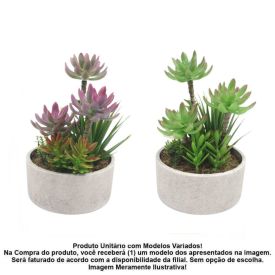Suculenta Com Vaso Havan Casa 25Cm - Sortido